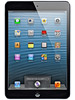 iPad mini 4  WiFi