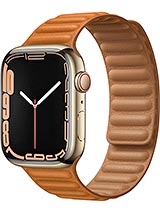 Watch Series 7 GPS + Cellular Stainless Steel 